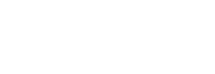 Arridi Interactive